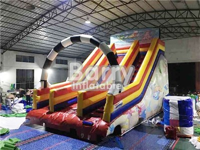 Wholesale Price For Inflatable Slides Cape Cod China Factory BY-DS-032